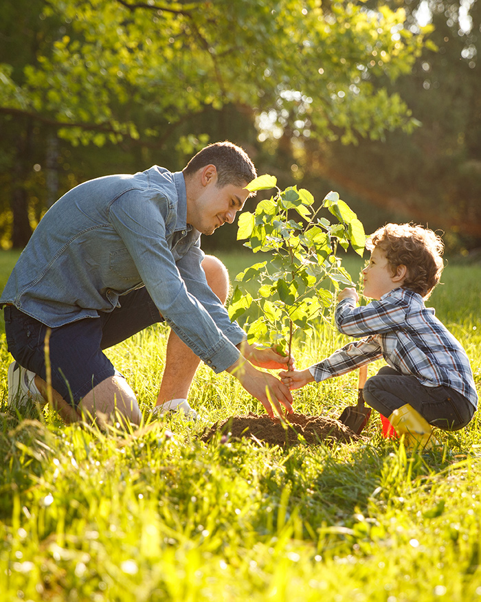 Dad planing a tree with his son - Counseling for Parents in Bel Air, MD